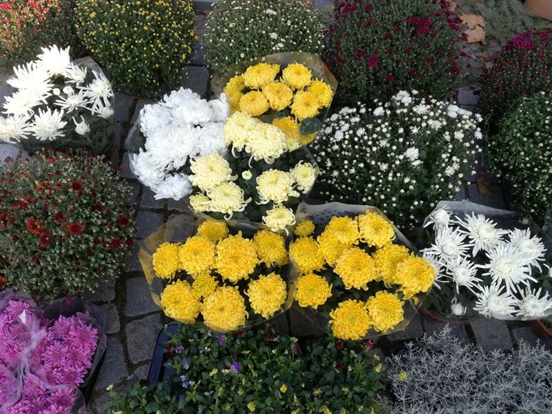 Smuteční vazby a květiny na hroby, Květinářství Mirka Třebíč
