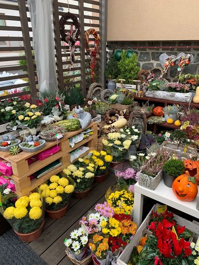 Podzimní a dušičkové květiny a vázby, Květinářství Mirka Třebíč 10.jpgPodzimní hrnkové květiny, vazby a halloweenské dekorace